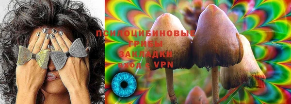 наркотики Богданович