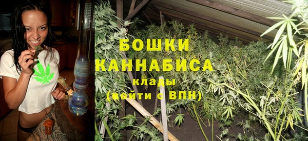 дживик Белокуриха