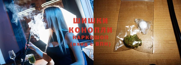 стафф Богородицк